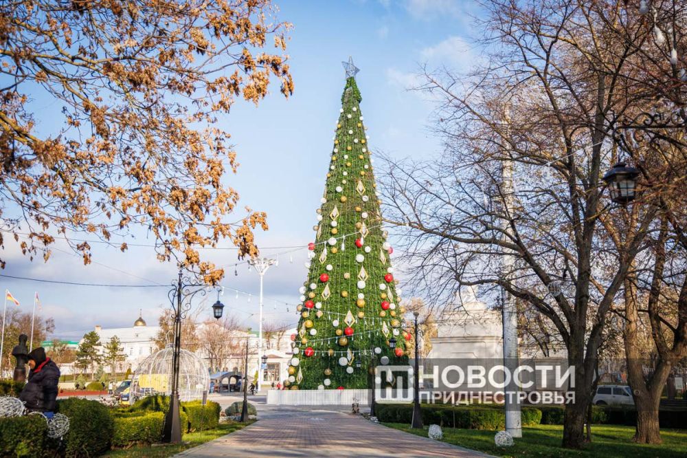 ������ ������ � ��� ����� � ����� ������� ���������� �� ����� ���