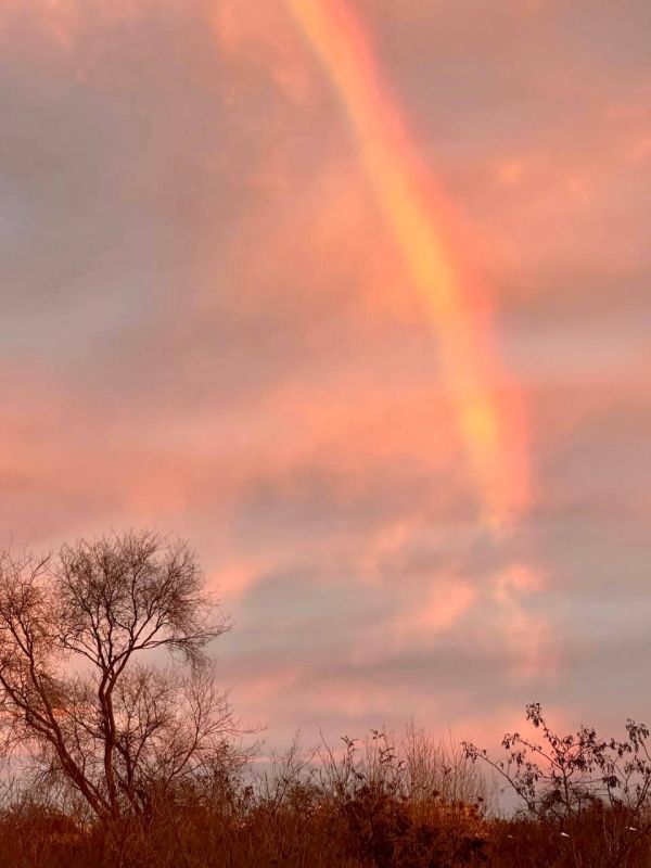 ���������� ������ ��� ����������