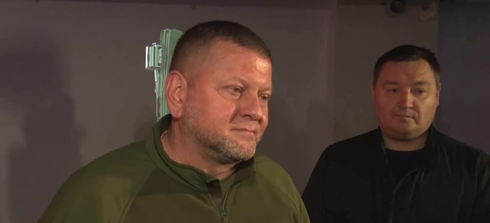 ����������������� ��� ������� �������� ��������� �������� �� ������ � ���, �������� �� ���������� ���������������� � 2024 ����