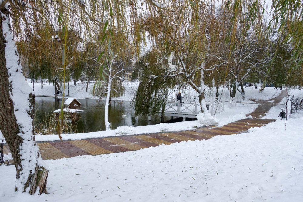 ���� � ����� ������� ����� � ������ �����������