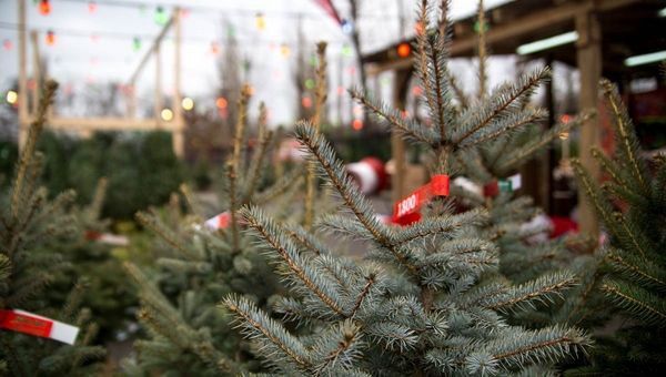 � ���������� ������� ����� ��������� 22 �������