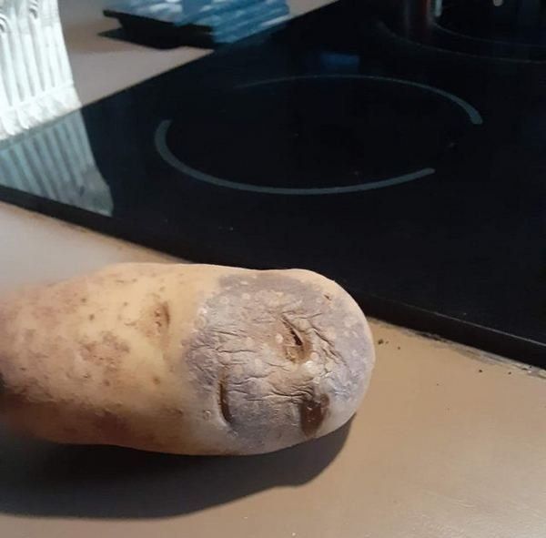 ������������ ������ ���������� ������ �������� ������� ������