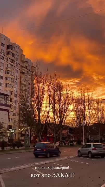 � ����� - ������