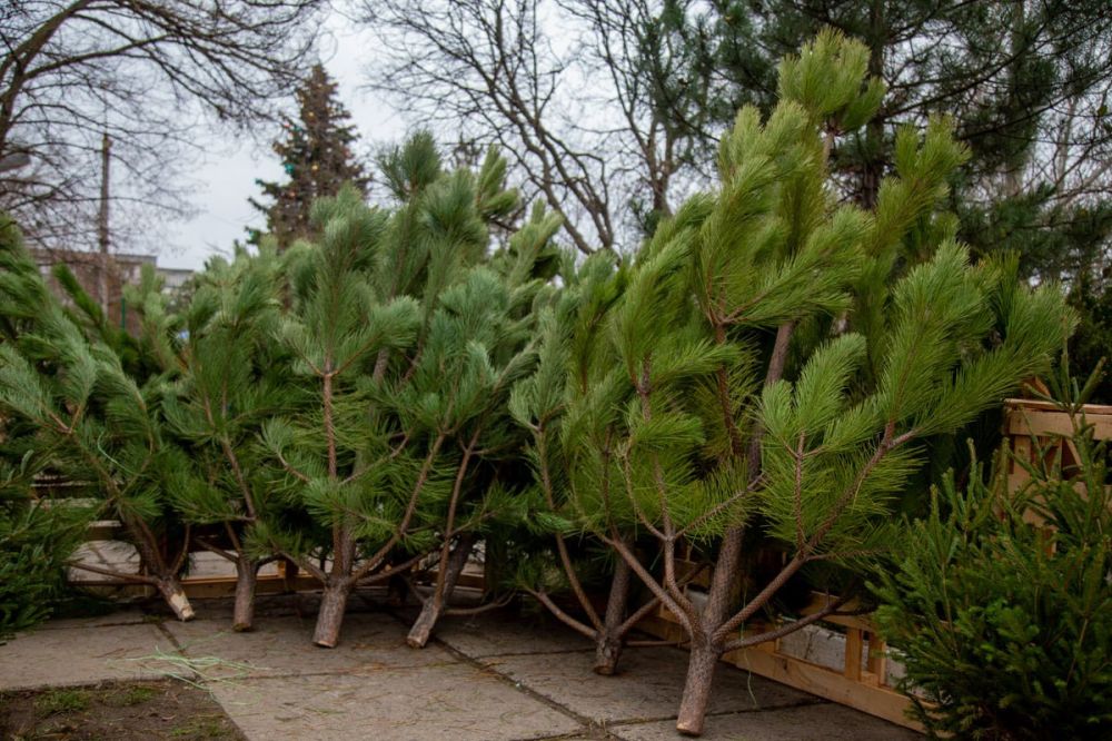 20 ������� � ��������� ������� ������� ������: