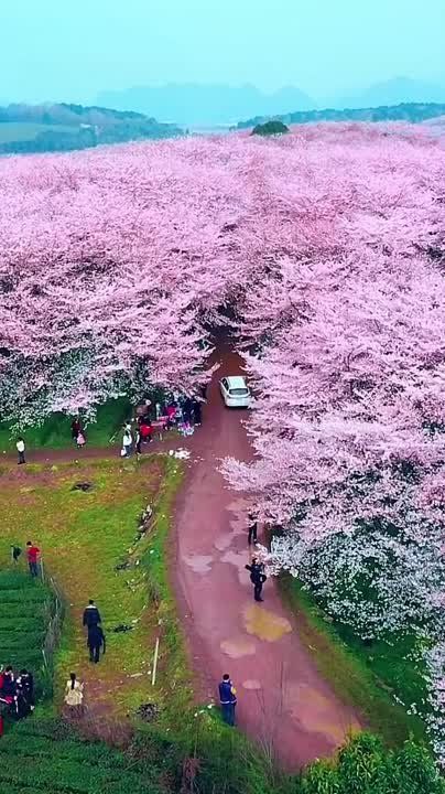 ��� �������� ����� ������� ��� ������ � ���� � �� ��������� � ��������� ��������� �������