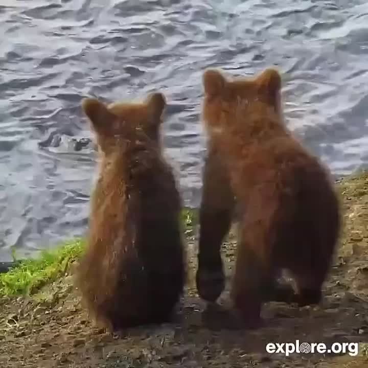 ����� ���� �� ������ ������������� ����� ��������� �������� Explore