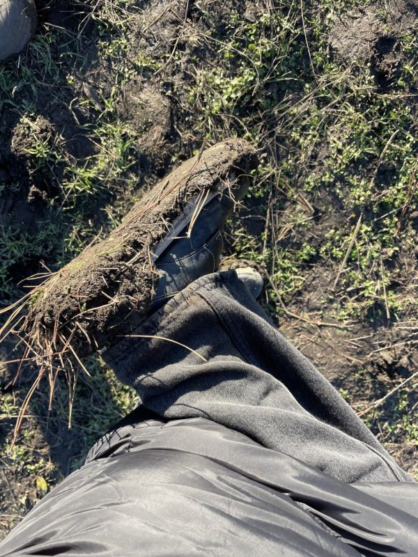 ���������� ���� - ��� �����