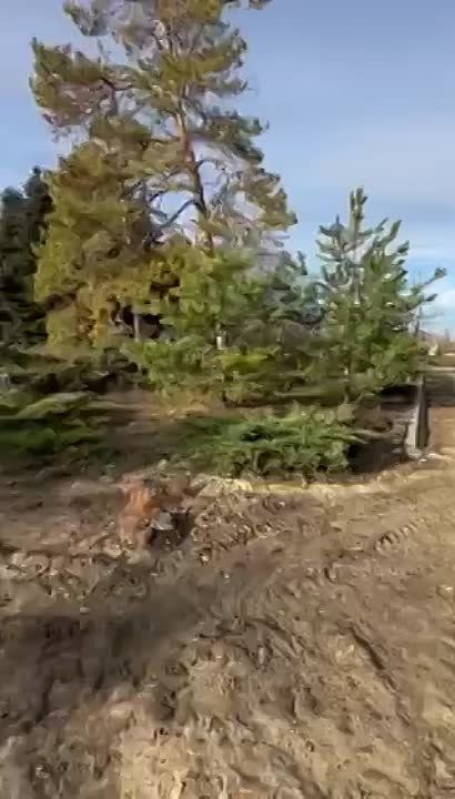 � ��������� ��������� �� �������� ���������� ������