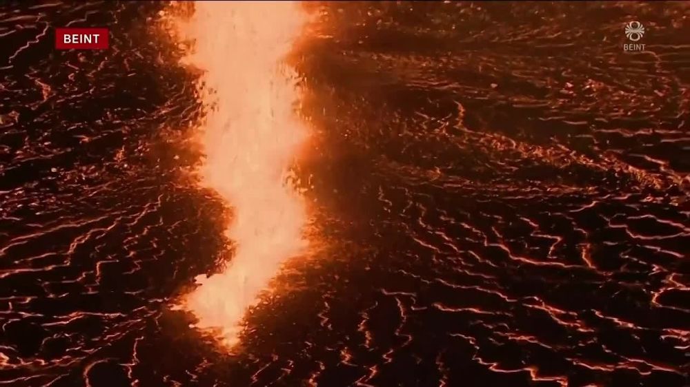 ���� ���� �� ����� �� ��� ��������