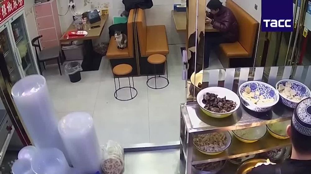 ������� ������������� ���������� 6,2 ��������� ����� ������� � �����