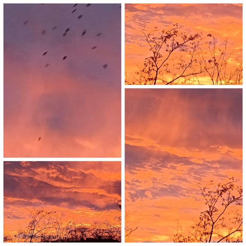 �������� ���������� ��� �� ������ ����������