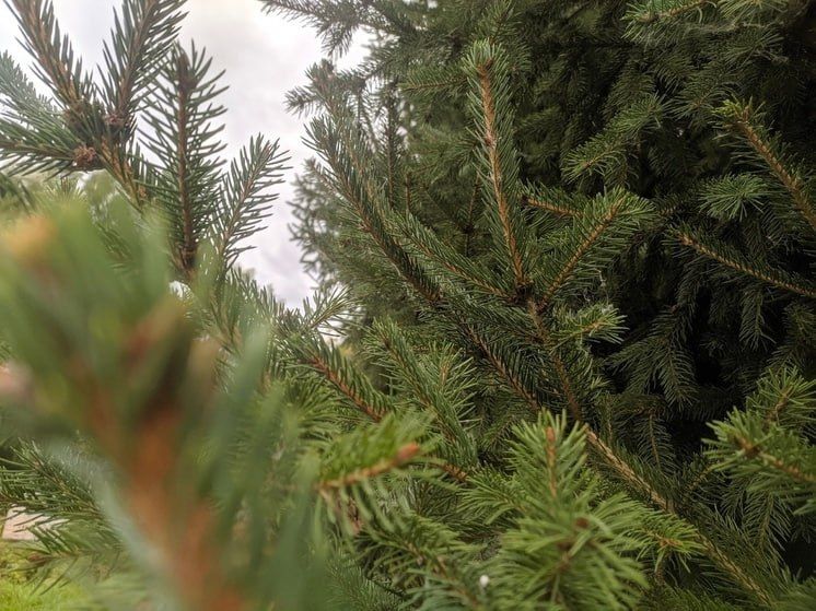 �������� ������� ���������� �� ���� ������� � ������� ����������