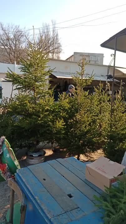 ���� � �� ������� ����� � ��������