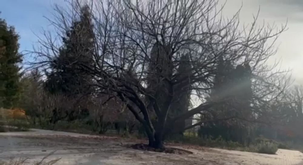 ������ �������� � ������� ������������ �� ������ - � �������, ���������, � ������ � � ������������ �����