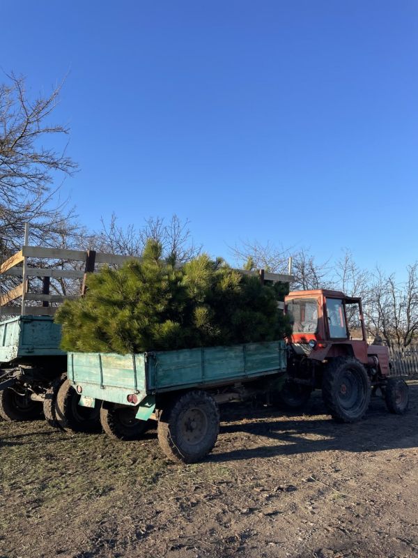 �� ������� ������ ��������� � ��� ���� ������ ����� ���� � �����, ��� � ������� ����