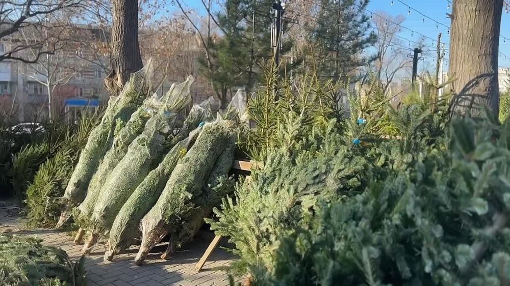 ������� ����� ��������� � ������ ��������� � ���������