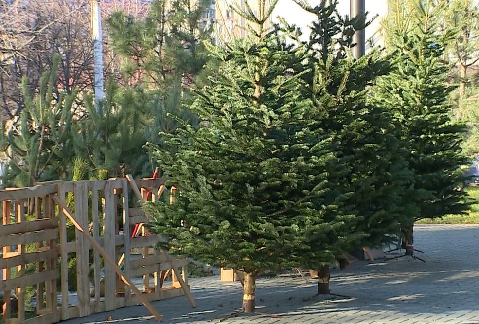 � ��������� ������� ����� ������� ����� �� 800 ������