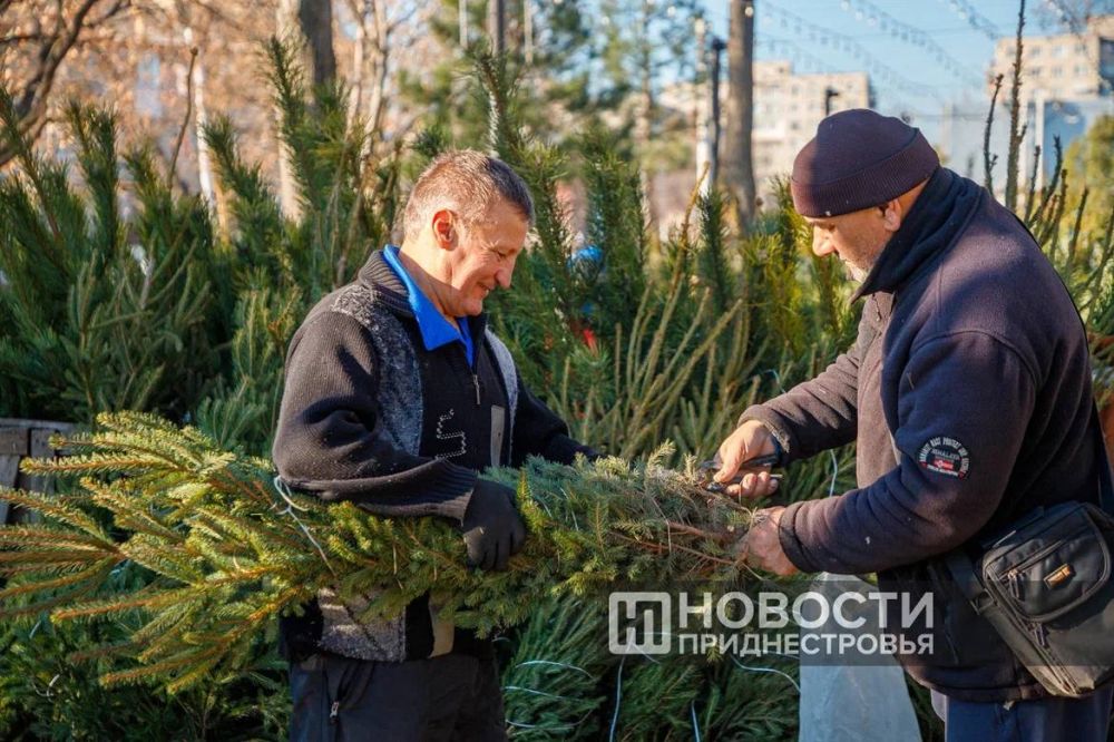 ���� �� ������� ������� � ���������: