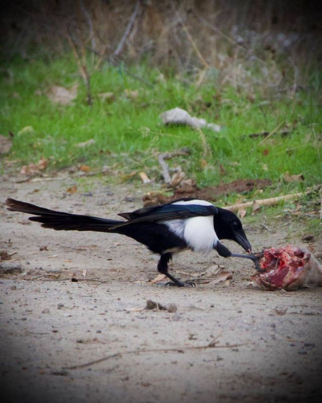 ������ ������� �� ����!. ���� ������ ����������