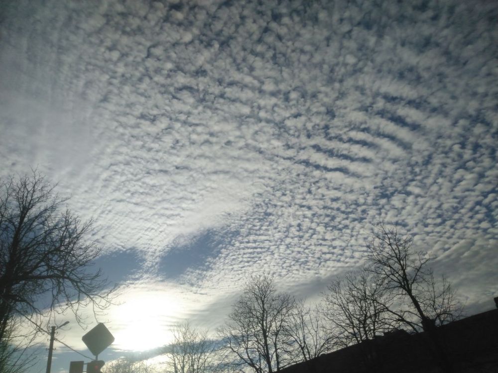 ��, ��� ���� � �������, ���������� ����..