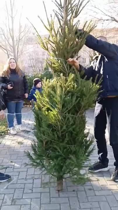 � ��� � ������ ����������! ����������, ������ ������ ������������ � ���� �� ����� - �������� ������ ����� ��������