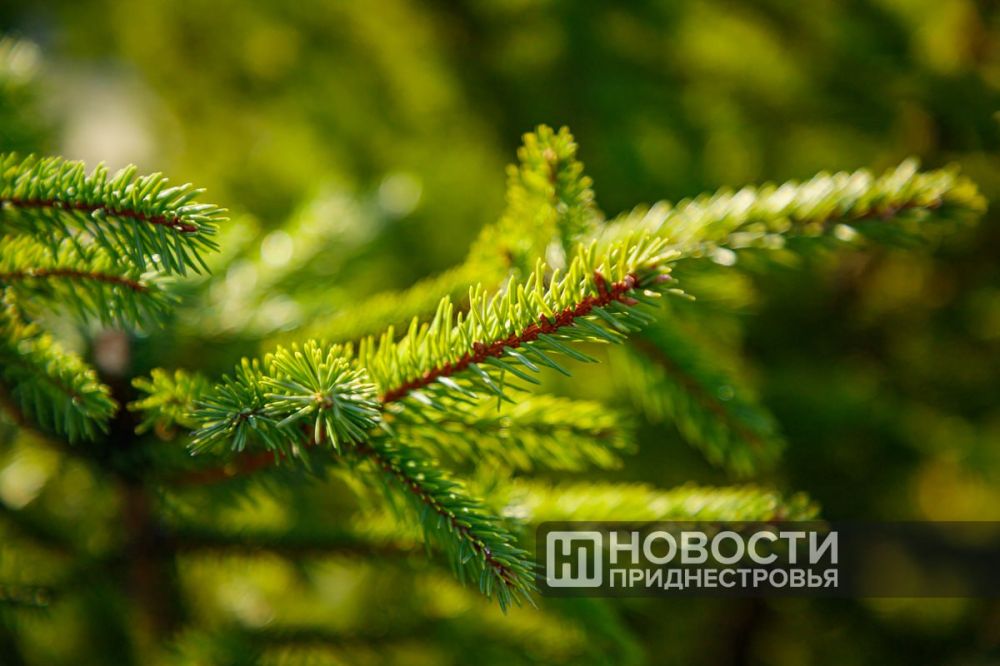 ������ ������� ������� � ��������� � ������� ����� ����� � ����������� ���. �� ����� ��������� �� ���������� ������� ��������� �� ����� �����������, 92