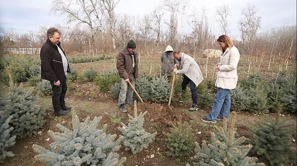 ������ ����? � �������� ��. ����� � �������� �������