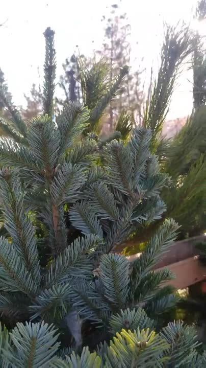 ������� ���� � ��������� ������ ���������: