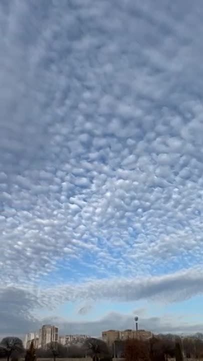 ���� ��� ��������������. �� ������ ���� 11 ����.