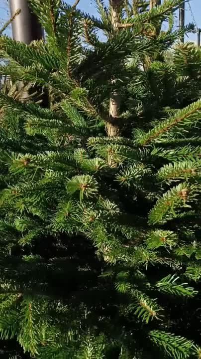 � ������ ��������� �������� ������� �����