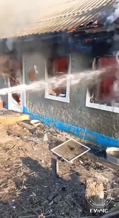 50-������ ������� ����� � ������