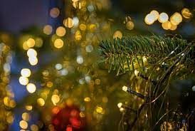 � ��������� �������� ��������� �������� ���� �� ������������