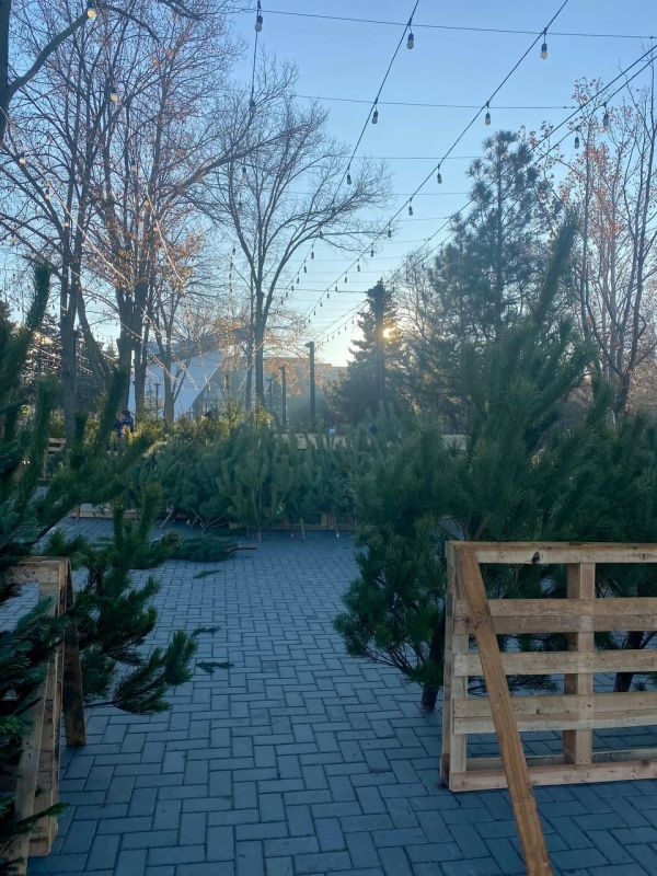 � ������ ��������� �������� ����� ������� ������� ����� � ���������