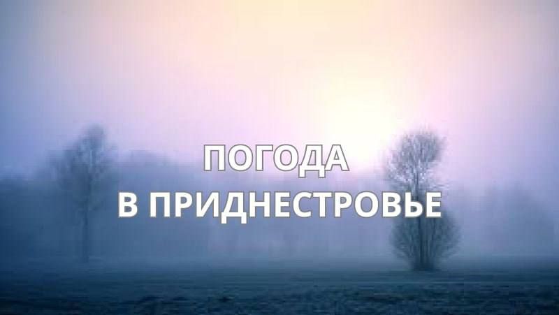 21 ������� ��������� �������� � ������������ ������, ��� �������