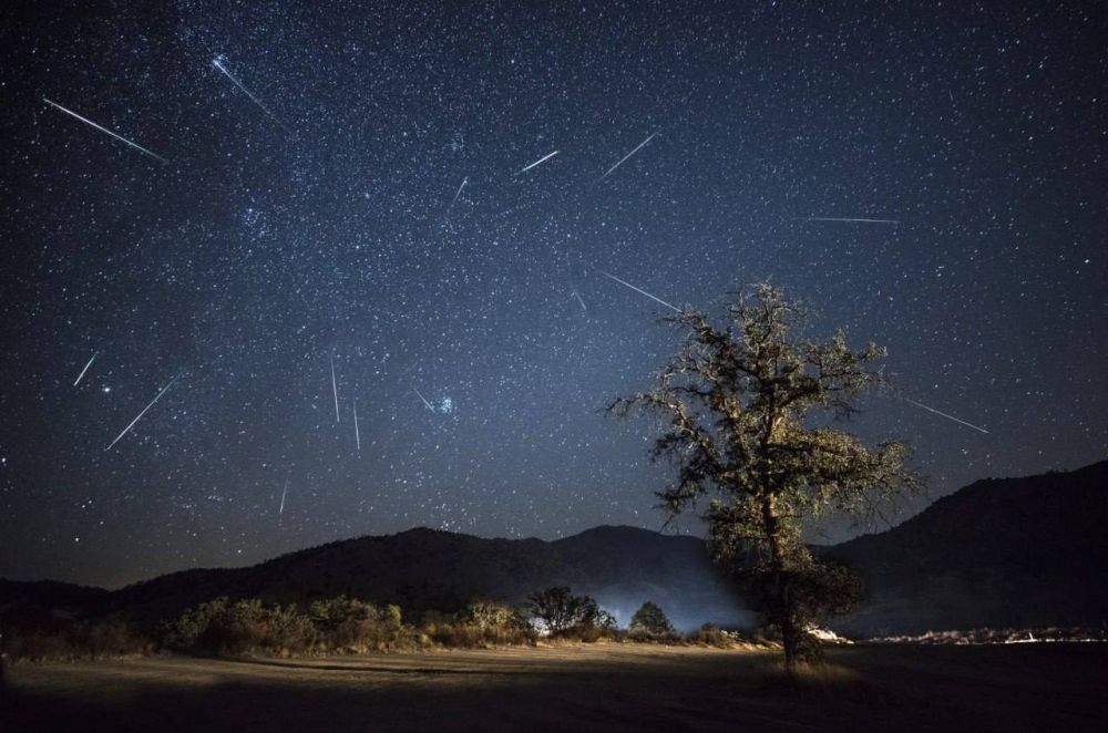 � ����� ������� ���� � ���� ������� ������ ������� ���������� �������� ��������� ������