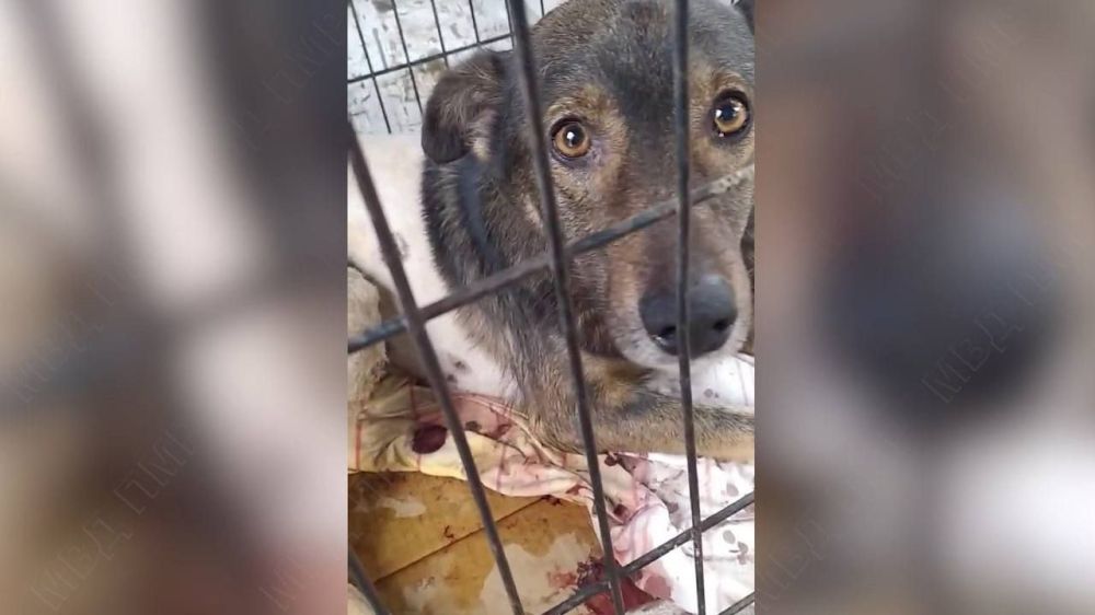 ��������� ��������������� �� �������� ��������� � ��������� ������ ������ �� ������