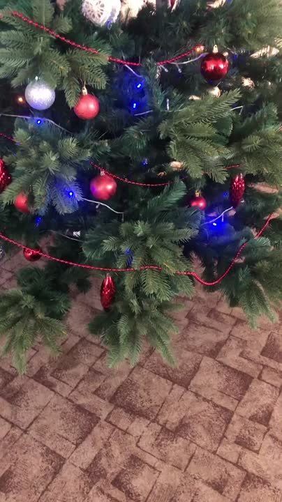 � ��������� ������ ��������� ����