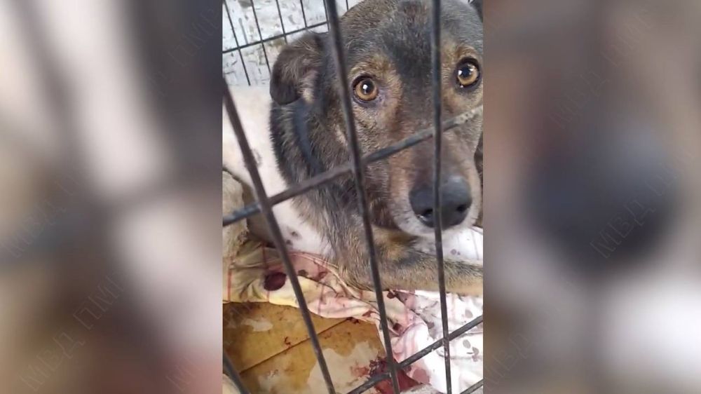 ������ ������ ������ ��������� ��������������� �� �������� ��������� � ���������