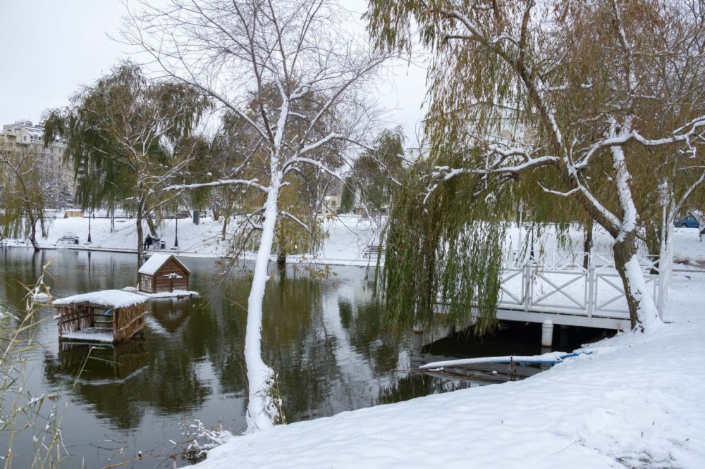 ����� ������ �� ����� ������, � ��������