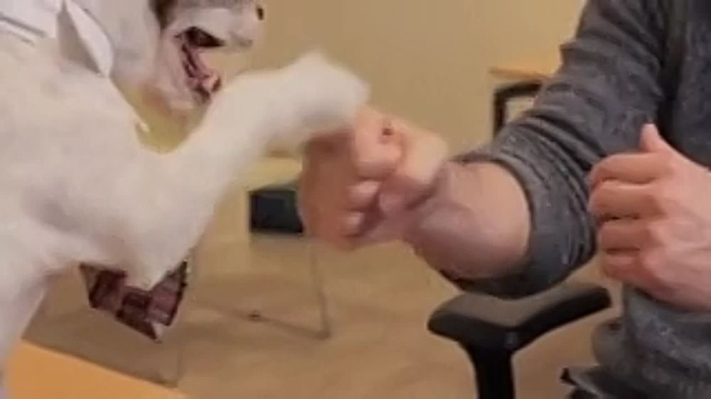 ���, ����, �� ������� ���� ���..