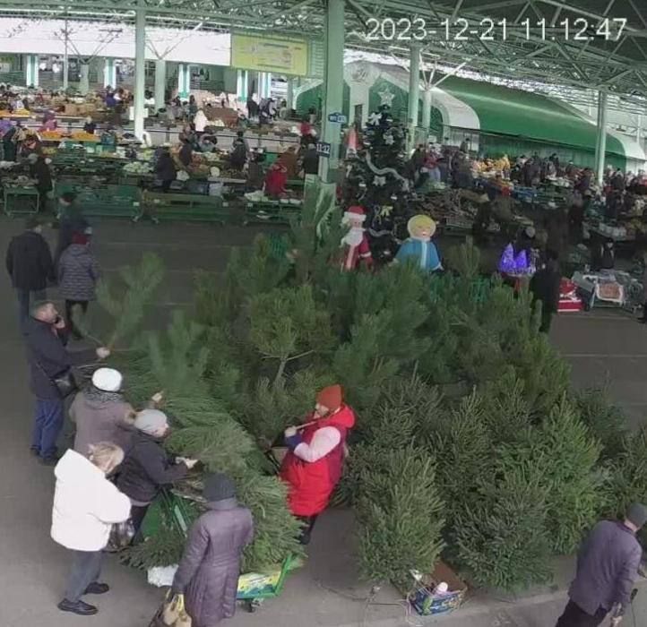 ������ ���� ������� �� ������ �����.