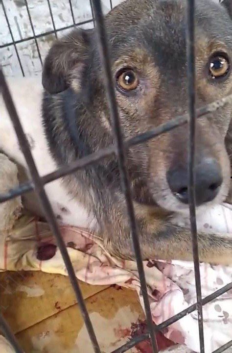 ������ �� ����� ������� � ���� ������