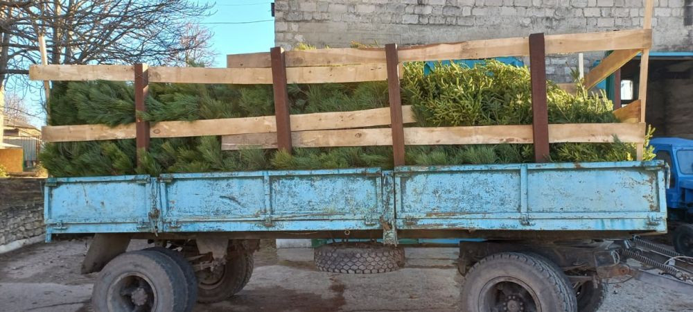 �������� ����������� ���������� �������� � ������� �� ����������� �����������