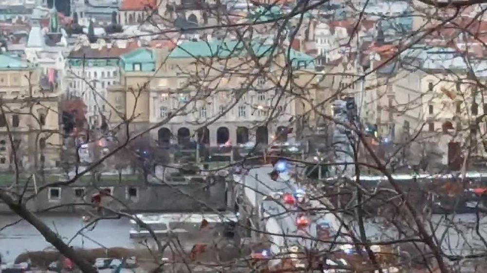 ������� ������ ����� � �������� ������������ � ������ �����