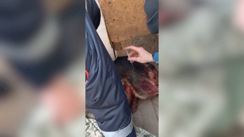 �� ������ �� ����� ��������