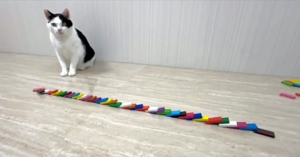 " ���������! � ��� � �������� ����.