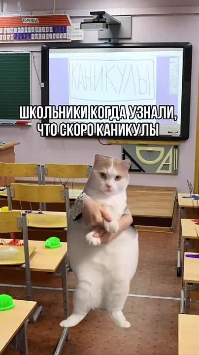 ��������� ������� � ��������� ������� ����, ��� 29 �������