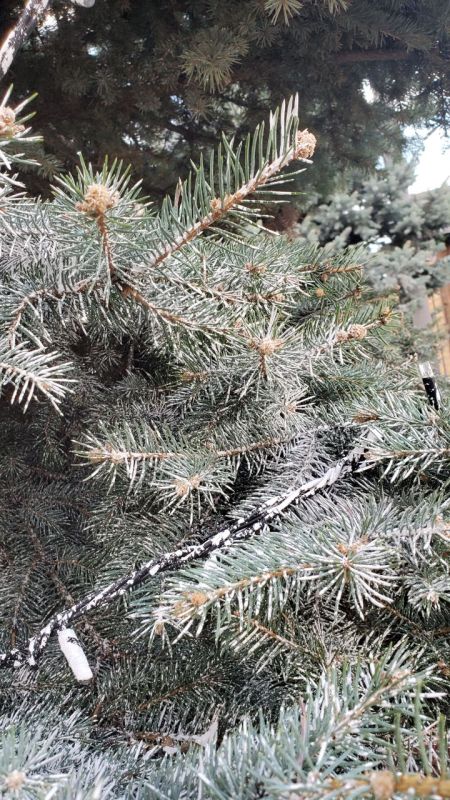 � �������� ������ ����� ���������� ������� �������