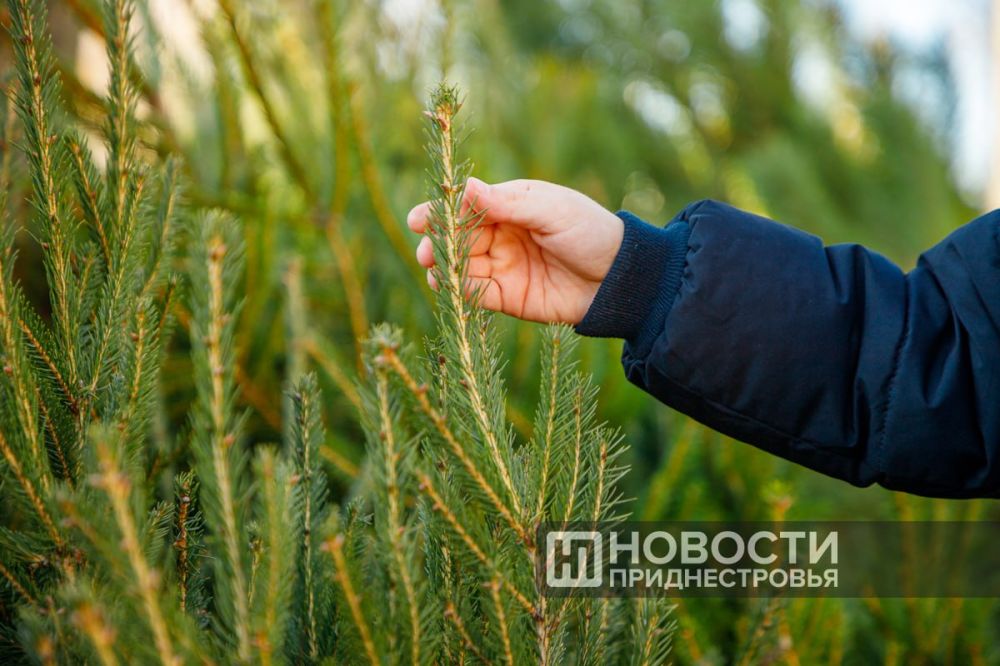 ��� ��� ����������: �� ���������� ������� ���� � ������� �����