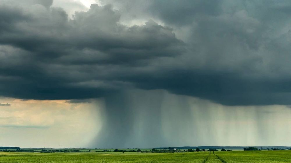 ������������� ����� ������� ������������ � ���������